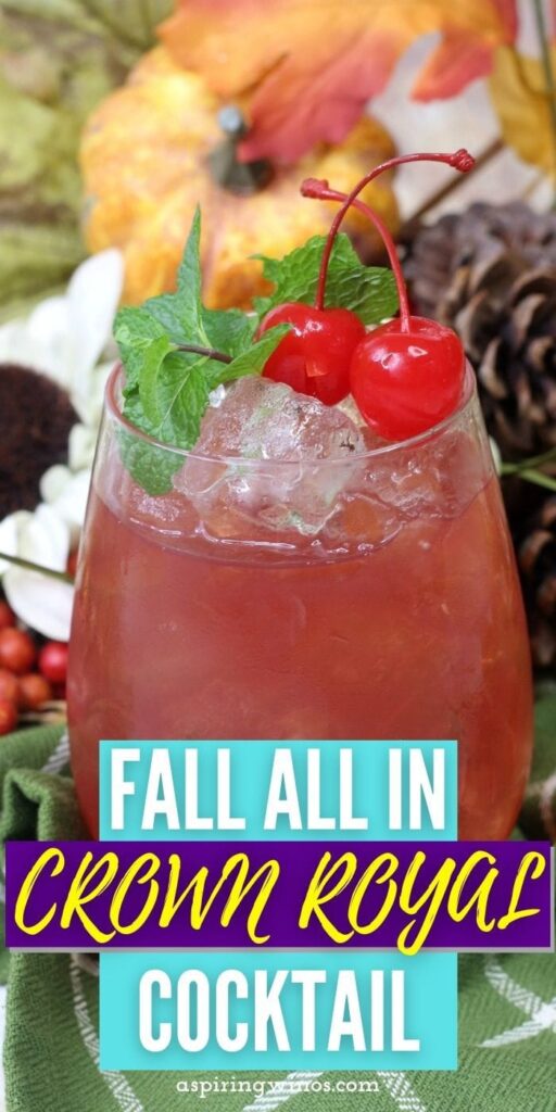 Fall All In Crown Royal Cocktail | Crown Royal Cocktail | Cranberry Vodka Cocktail | Spice Rum Cocktail | Fall Cocktail Ideas #FallAllInCrownRoyalCocktail #CrownRoyalApple #SpiceRum #CranberryVodka #FallCocktails #CocktailRecipe