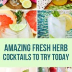 Fresh Herb Cocktails | From Garden to Glass: Fresh Herb Cocktails for a Unique Twist on Classic Drinks | Mint Cocktails | Rosemary Cocktails | Herb Garden Cocktail Ideas | Fresh herb cocktail ideas you must try #FreshHerbs #FreshHerbCocktails #Cocktails #CocktailRecipes #GardenToGlass
