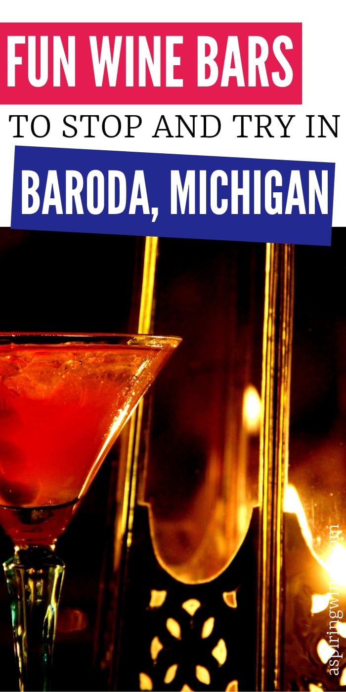 7 Fun Wine Bars to Try in Baroda, Michigan | Wine Bars in Michigan | Wine Tasting in Baroda, Michigan | Best Wine Bars to Try | Michigan Wine Trail | #winebars #wine #winetasting #Baroda #Michigan