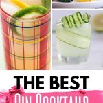 Gin Cocktails That are Perfect for Summer Patios | Gin Cocktails | Cocktails Made with Gin | Best Summer Cocktails | Summer Cocktails | Juniper Flavored Cocktails | #gin #cocktails #junipercocktails