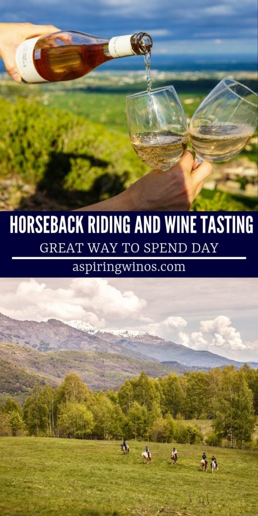 Places You Can Go Horseback Riding AND Wine Tasting | Wine Horseback Riding | Horseback Riding Tips with Wine | How to go Horseback Riding and Drink Wine | #wine #winetasting #horsebackriding #horsesandwine