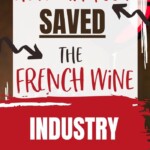 How North America Saved the French Wine Industry | North America | French Wine Industry | Wine History #NorthAmerica #FrenchWineIndustry #WineHistory #FrenchWine