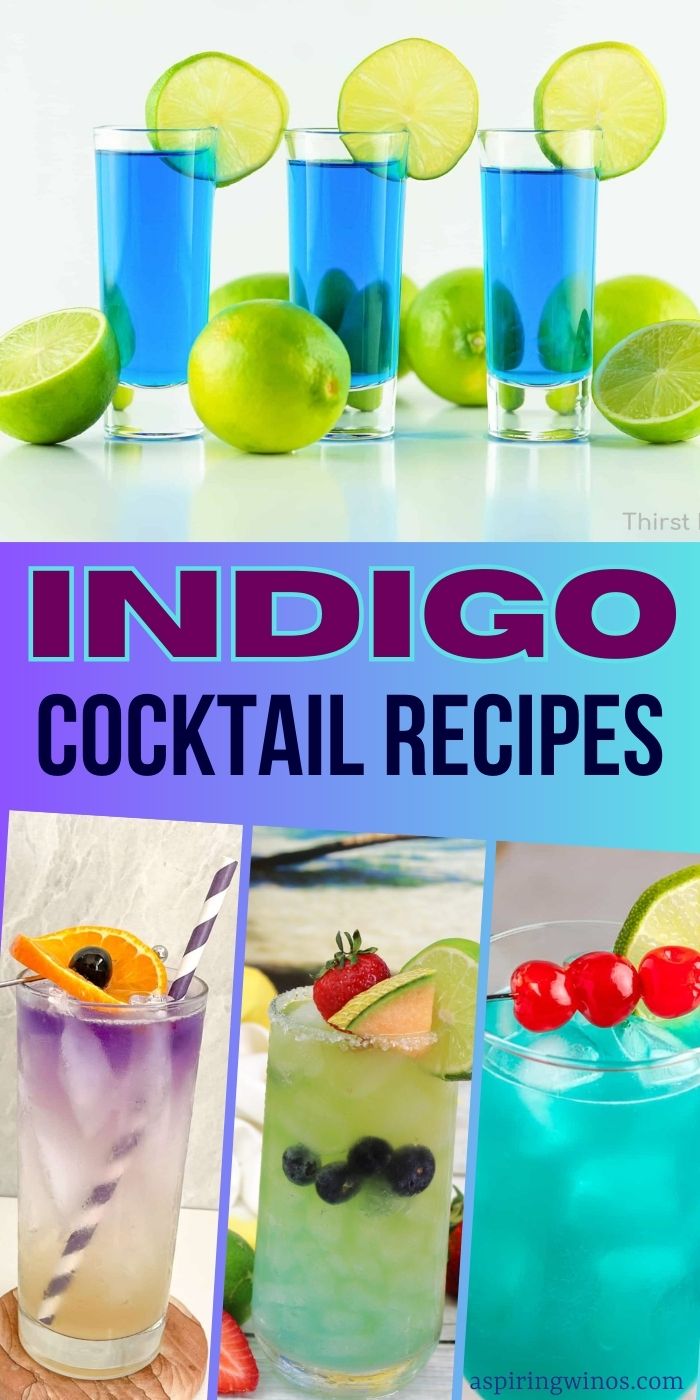 50 Irresistible Indigo Cocktail Recipes You Need to Try! Aspiring Winos