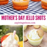 Jello Shots Perfect For Mother's Day | Jello Shot Recipes | Jello Shots made just for mom | Mother's Day Ideas | Boozy Mother's Day Ideas She will love #JelloShots #MothersDay #Mom #Recipes #Jello #ShotsForMom