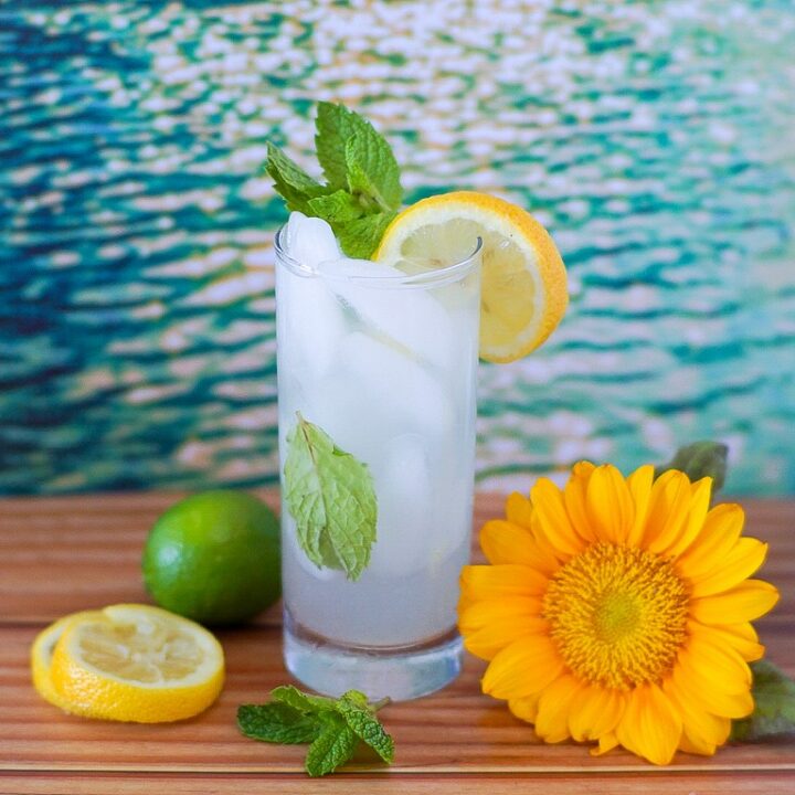 Lemonade Mojito