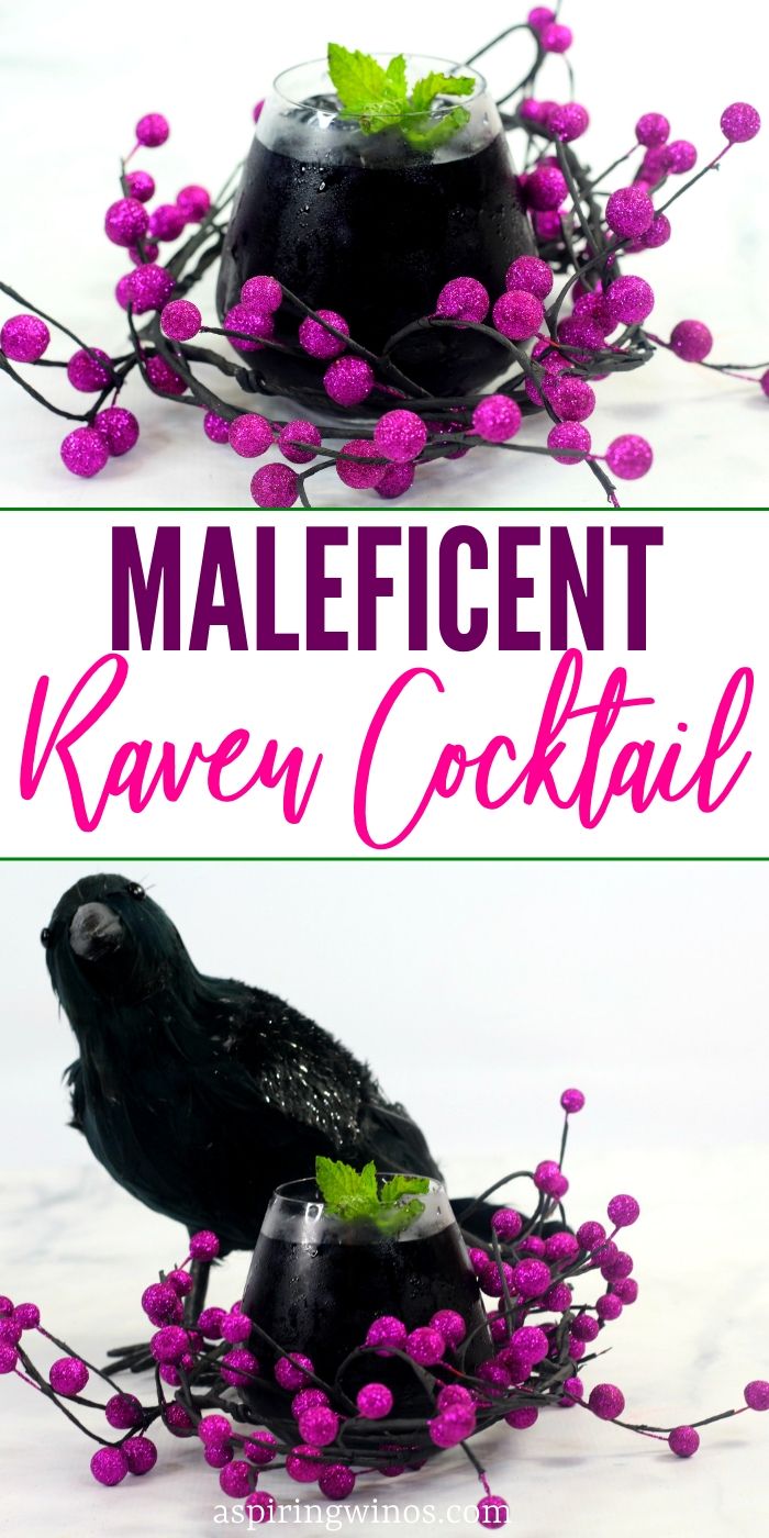 Maleficent Raven Cocktail | Halloween Cocktails | Black Cocktails | Cocktail from Maleficent | #maleficent #cocktail #raven #blackcocktail