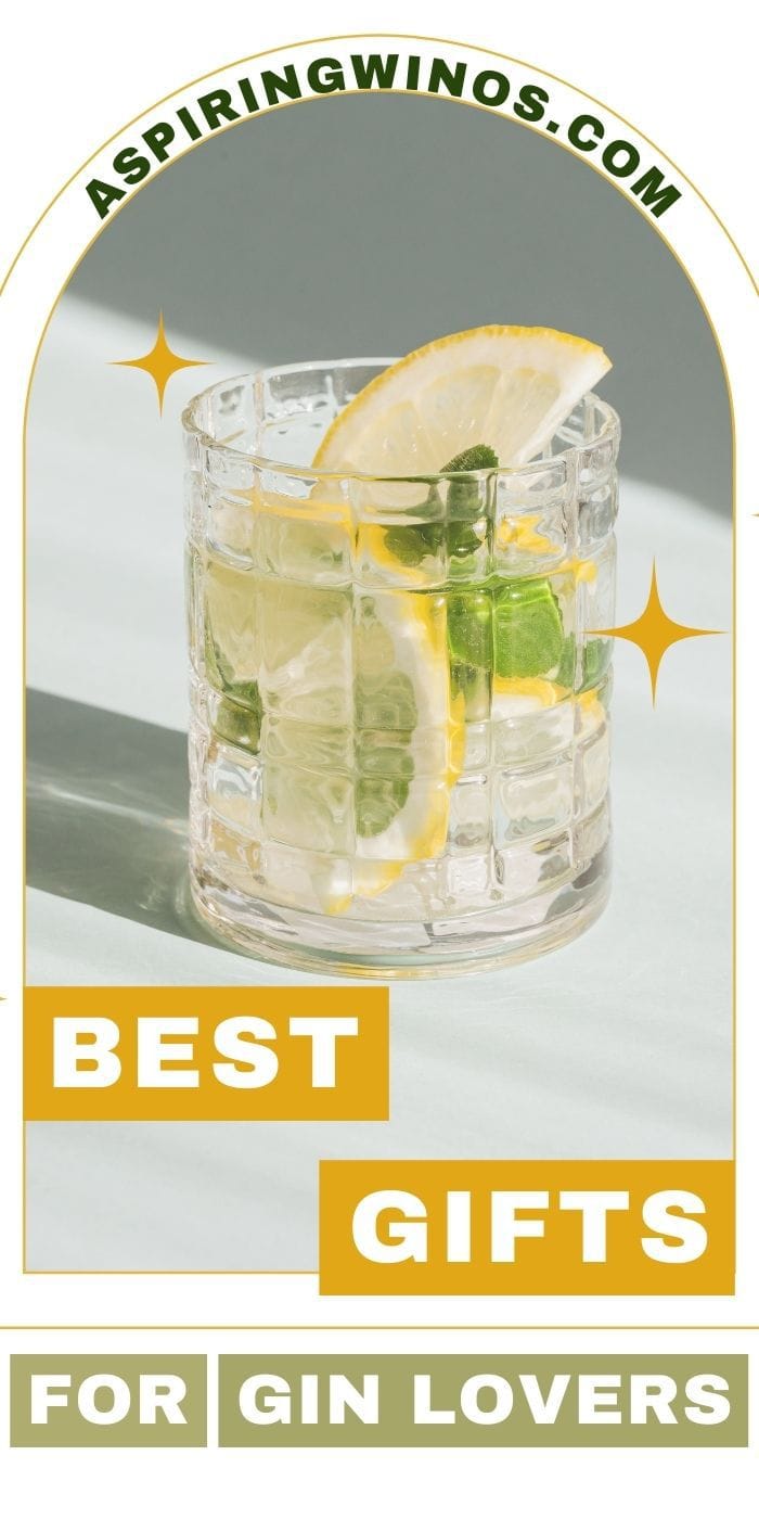Memorable Gift Ideas for Gin Lovers Aspiring Winos