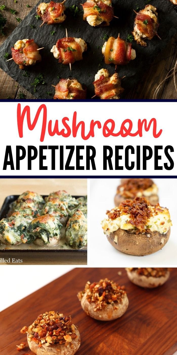 Mushroom Appetizer Recipes | Wine Tasting Appetizers | Mushroom and Wine Pairings | Mushroom Recipes | Appetizers for Wine Night | #mushrooms #winetasting #wine #appetizers #recipes