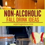 Non-Alcoholic Fall Drinks | Fall Themed Drink Recipes | Mocktails for Fall Time | Kid Friendly Drink Recipes | Fall Drink Recipes #NonAlcoholicFallDrinks #FallMocktails #KidFriendly #FallTimeDrinks #Mocktails #Pumpkin #Pear