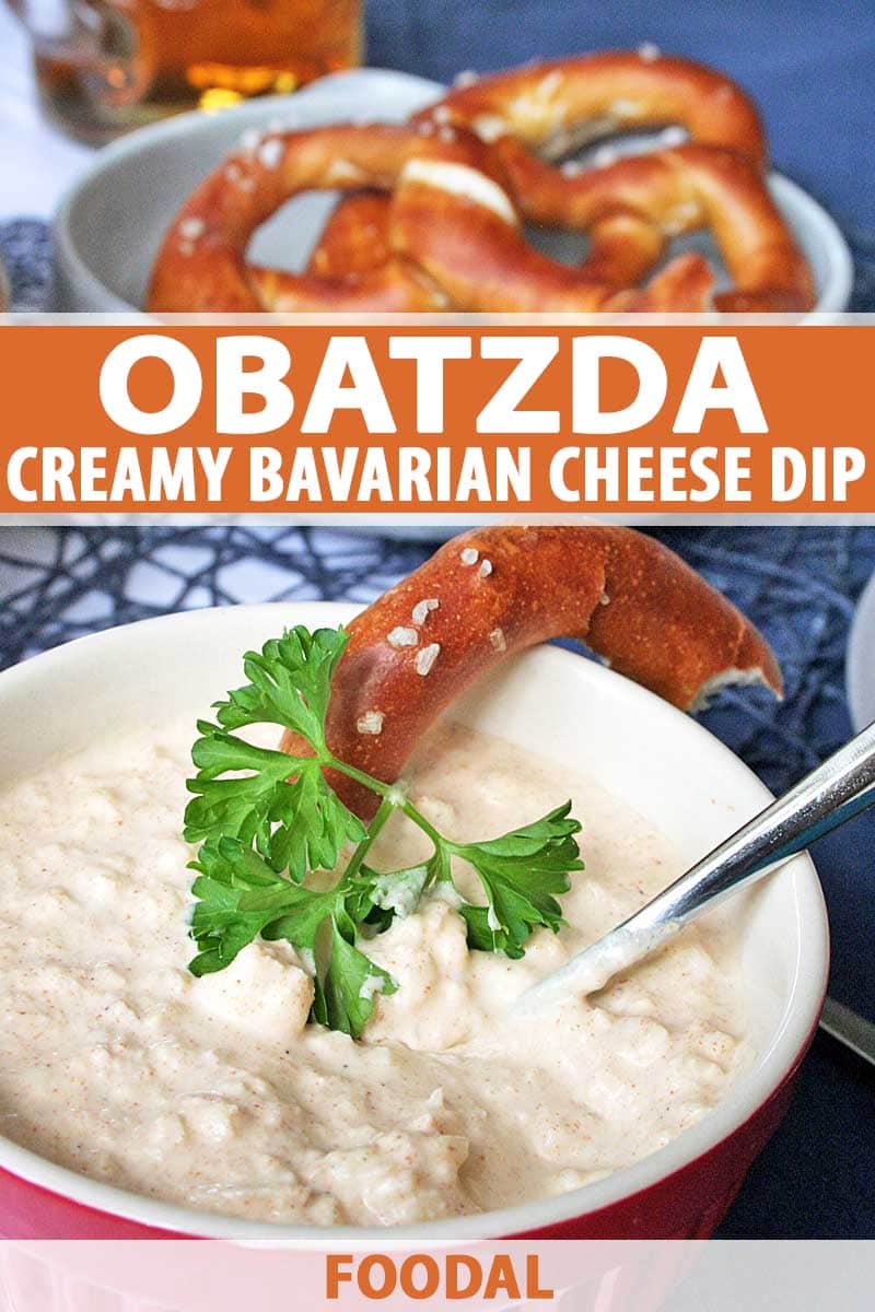 Bavarian Cheese Dip