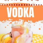Orange and Cranberry Vodka Cocktail | Orange and Cranberry Cocktail | Cocktail Recipe | Vodka Cocktail | Orange and Cranberry Vodka Cocktail Recipe #OrangeCranberryVodkaCocktail #VodkaCocktail #CocktailRecipe #OrangeCranberryCocktailRecipe #Cocktails