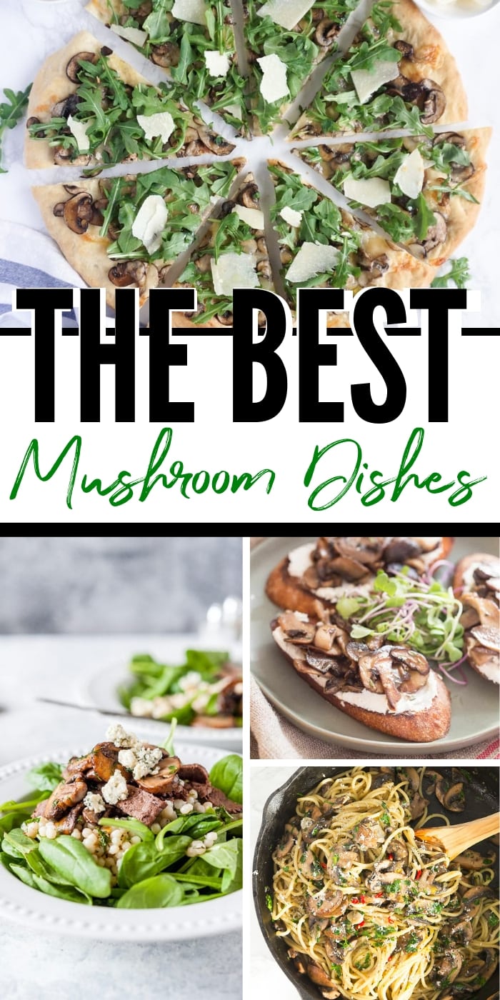 Must-Make Mushroom Recipes for Your Next Wine Tasting Party | #mushroom recipes | This is exactly how to pair food with pinot noir, a delightful red wine that develops mushroom and vegetal notes with age. Pinot Noir pairings can accentuate the aged characteristics. Pinot is a delicate wine that can be easily overpowered by food. #pinotnoir | #winepairing #recipes #winetasting #party