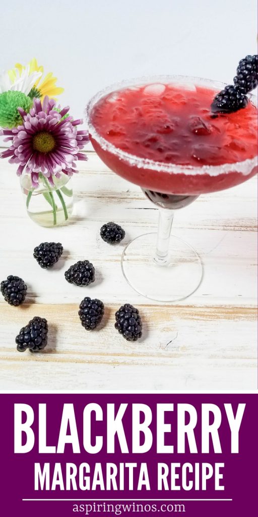 Blackberry Margarita Recipe For National Margarita Day - Aspiring Winos