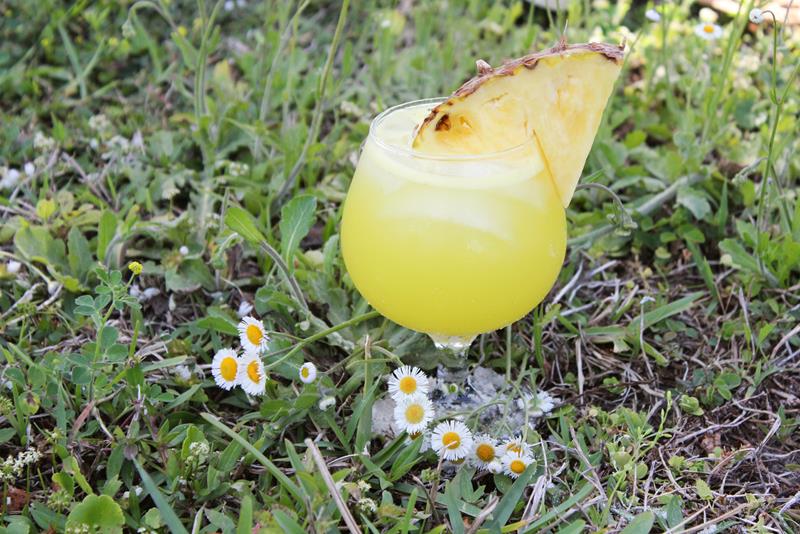 close up of tropical cocktail in grass with white small daisies 