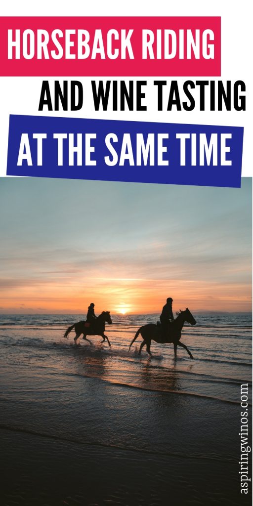 Places You Can Go Horseback Riding AND Wine Tasting Aspiring Winos