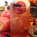 Plum Cocktail | Apple Flavored Fall Cocktail | Fall Themed Drinks | Holiday Cocktail Recipes | Cocktails to go With Holiday Dinner | Hot Toddy Recipes | Icd Toddy Recipes | #toddy #rum #whiskey #crown #cocktail