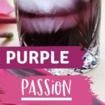Purple Passion Punch Cocktail | Vodka Cocktails | Purple Passion Punch Cocktail Recipe | Punch Cocktails | Cocktail Recipes #PurplePassionPunchCocktail #VodkaCocktails #PurplePassionPunch #CocktailRecipes #PunchCocktails
