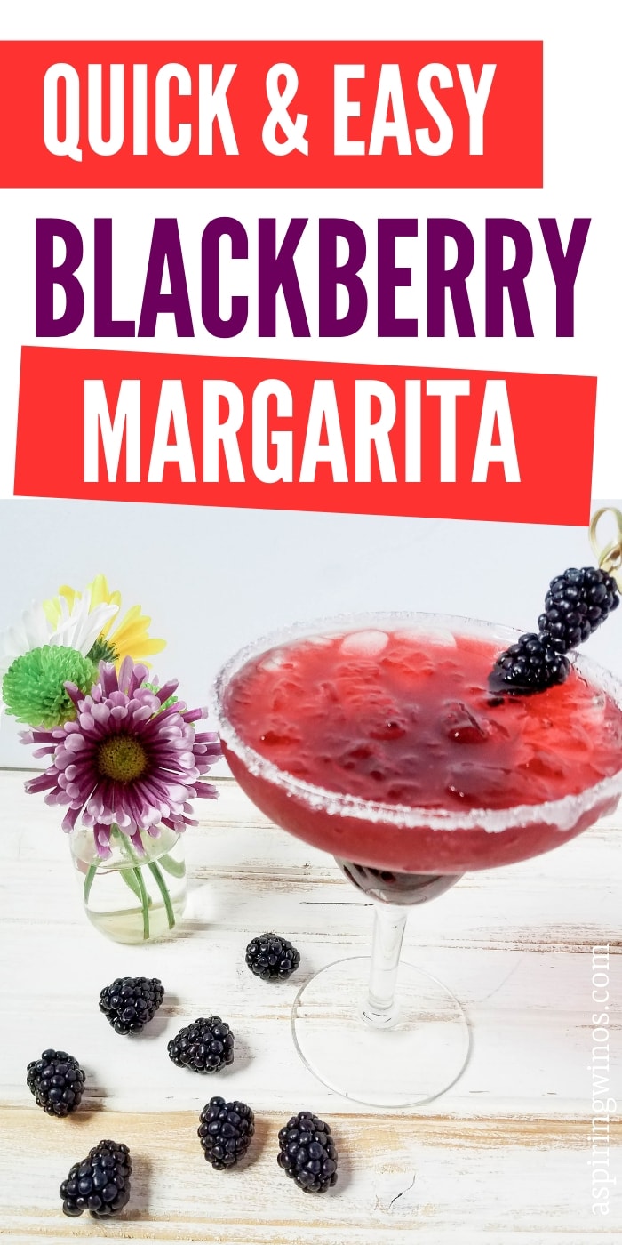 Blackberry Margarita Recipe for National Margarita Day Aspiring Winos