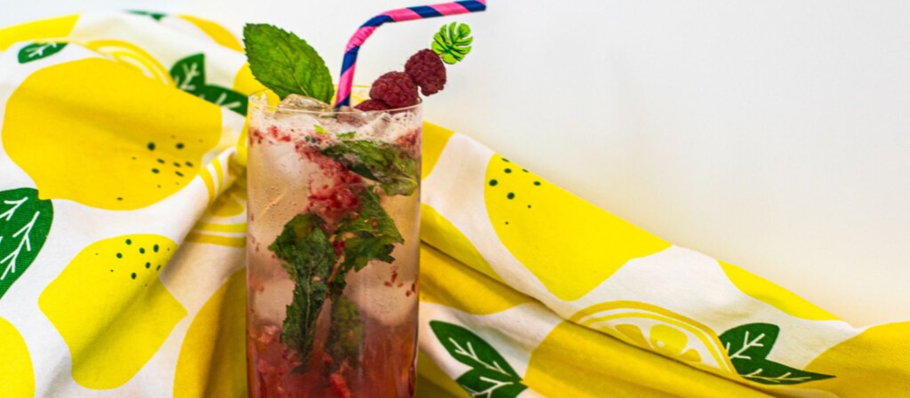 Raspberry Mojito Cocktail