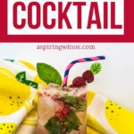 Raspberry Mojito Cocktail: A Fun Twist on the Classic Mojito | Raspberry Mojito Cocktail | Raspberry Cocktail Ideas | White Rum cocktails you need to try | Fruity Mojito recipes for your next get together #Raspberry #WhiteRum #Cocktail #Recipe #RaspberryMojito #Mojito
