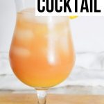 Orange Punch Cocktail Recipe | Orange Cocktails | Cocktails with Vodka | Vodka Cocktails | Spiked Punch Recipe | Recipe for Orange Punch | Cocktails | Strong Cocktail | #cocktail #orangepunch #spikedpunch #vodka #triplesec