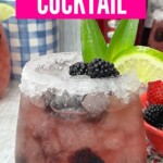 Rum Berry Cocktail | Blackberry Brandy Cocktail | Spiced Rum Cocktail | Berry Cocktails | Rum Berry Cocktail Recipe #RumBerryCocktail #BlackberryBrandyCocktail #SpicedRumCocktail #Cocktails #BerryCocktails