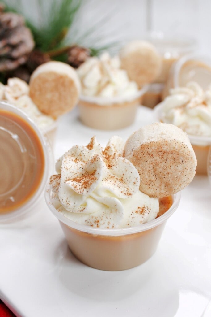 Close up of Jello shot with whipped cream and cinnamon sprinkled on top with mini snickerdoodle cookies. 