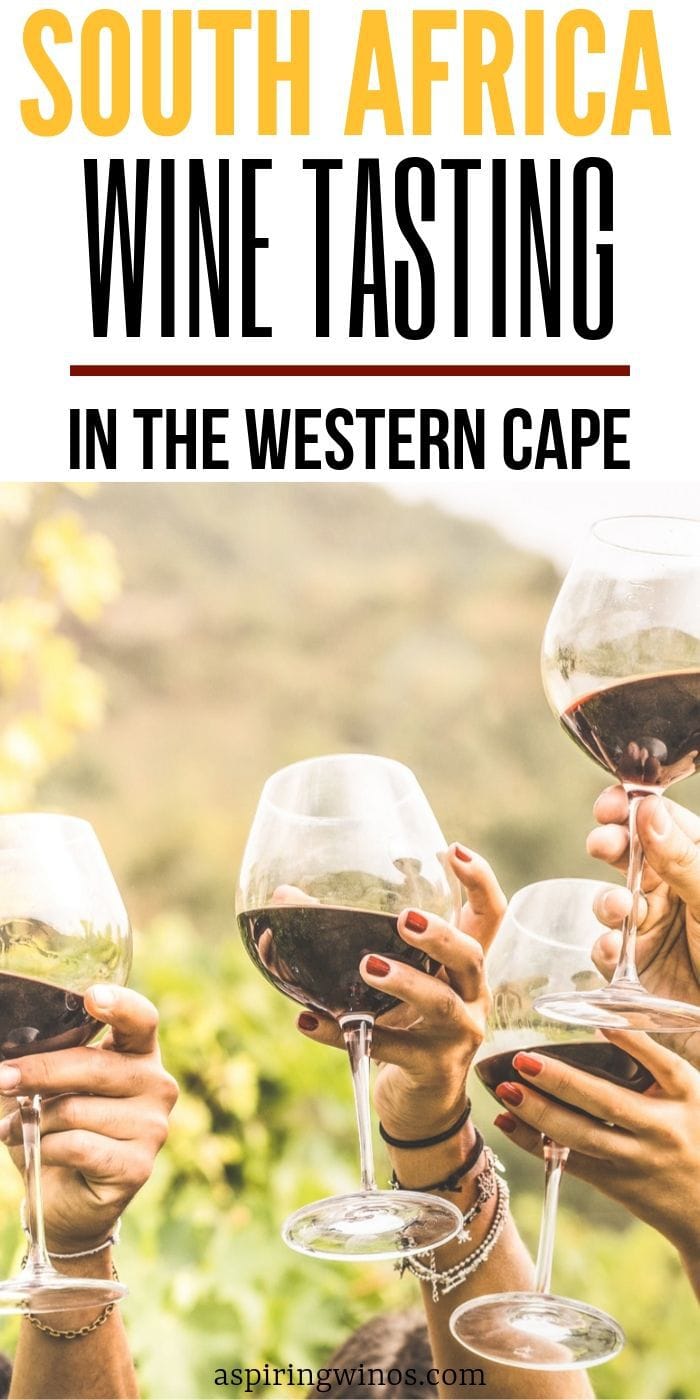 Where to Go Wine Tasting In The Western Cape of South Africa| Where to Go Wine Tasting in Africa | Africa Wine Tasting | Where to Go in the Western Cape of South Africa | Wine Travel in South Africa | #wine #winetravel #africa 
