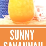 Sunny Savannah Cocktail Recipe | Cocktail Recipes | Vodka Cocktail Recipes | Peach Cocktails | Sunny Savannah #SunnySavannahCocktailRecipe #SunnySavannah #PeachCocktails #VodkaCocktailRecipes #CocktailRecipes