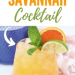 Sunny Savannah Cocktail Recipe | Cocktail Recipes | Vodka Cocktail Recipes | Peach Cocktails | Sunny Savannah #SunnySavannahCocktailRecipe #SunnySavannah #PeachCocktails #VodkaCocktailRecipes #CocktailRecipes
