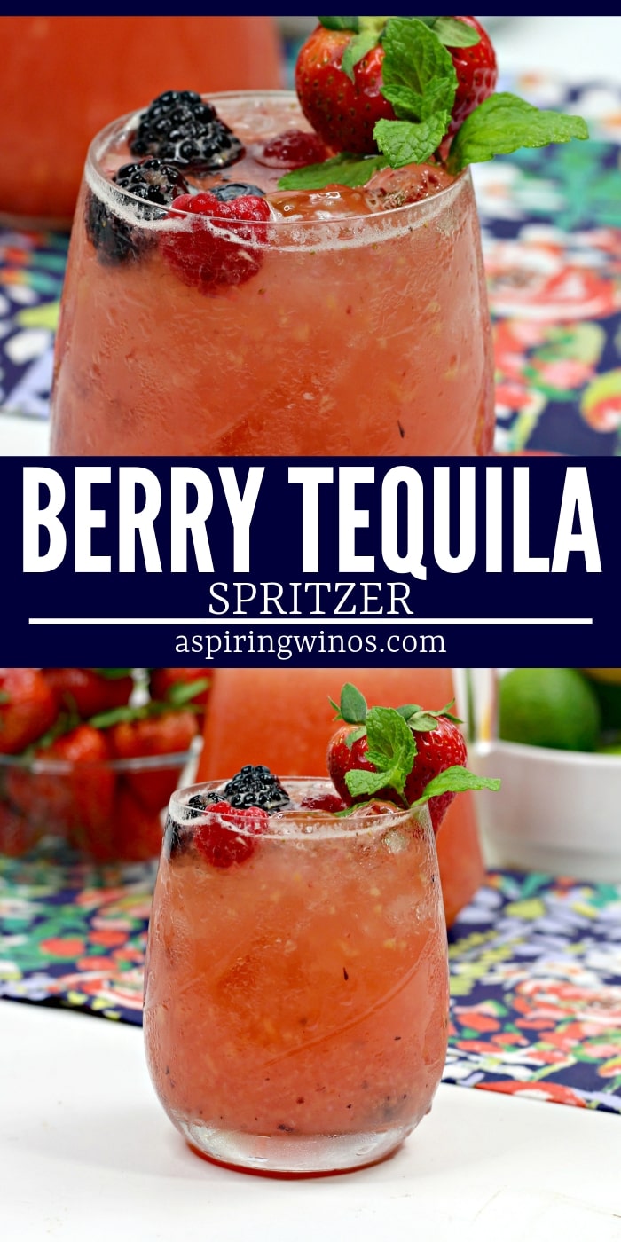 Fruit Tequila Spritzer for a Kickass Cocktail Party| Tequila Spritzer Recipe| Easy Tequila Spritzers| #tequila #spritzer #cocktail via @aspiringwinos