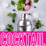 Cocktail Mixer | Best Cocktail Shaker | Cocktail Shaker for Home Bar | Best Cocktail Shaker for Entertaining | Glass Cocktail Shaker | Stainless Steel Cocktail Shaker | Cocktail Mixer Gift Set | #cocktailmixer #mixer #cocktailshaker #homebar #minibar