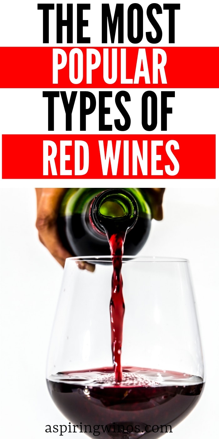 The Most Popular Types of Red Wine 1 - Aspiring Winos