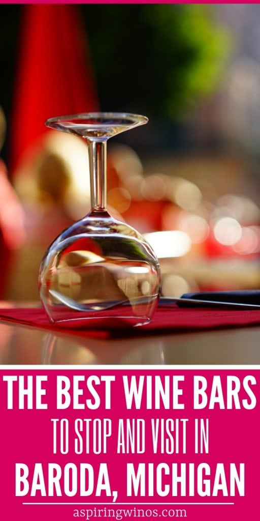 7 Fun Wine Bars to Try in Baroda, Michigan Aspiring Winos
