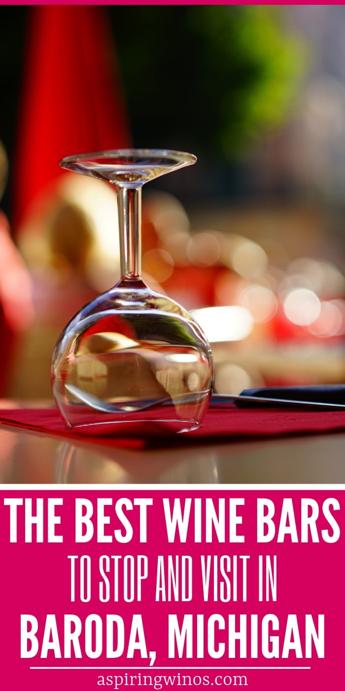 7 Fun Wine Bars to Try in Baroda, Michigan | Wine Bars in Michigan | Wine Tasting in Baroda, Michigan | Best Wine Bars to Try | Michigan Wine Trail | #winebars #wine #winetasting #Baroda #Michigan