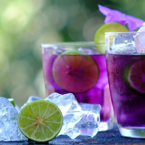 The Circle Purple Fade Cocktail Recipe