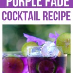The Circle Purple Fade Cocktail Recipe | The Circle | Purple Fade Cocktail | Cocktail Recipe | The Circle Cocktail #TheCircle #TheCircleCocktail #PurpleFadeCocktail #CocktailRecipe #TheCircleRecipe