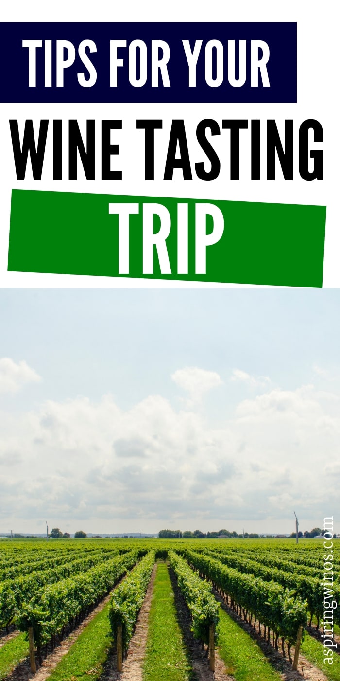 How to Make Your Wine Trip Unforgettable | How to have an amazing winery trip | Planning tips and tricks for wine tours | The things you really need to know in order to go wine tasting like a professional. #wine #travel #winetasting