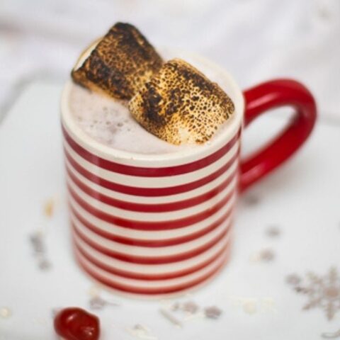 Toasty Hot Chocolate Cocktail