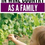 Traveling with Kids in Wine Country as a Family | How to plan a weekend in wine country with children in tow. | Family travel planning to wineries. | How to entertain kids in Napa and Sonoma. Can I take my children along to a wine tasting event? Use these tips and find out how it's possible to have a vacation that includes adult and children's interests! #tips #travel #winetravel #wineries #enotourism #familytravel #children #vacation