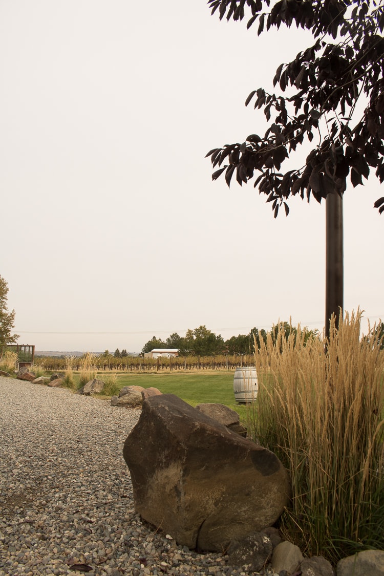 All of the gorgeous grounds are around the winery and restaurant, which is a converted home.