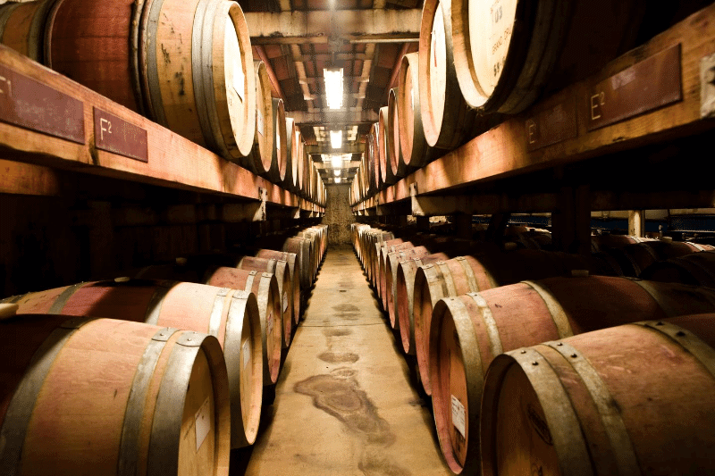 Twisted barrel winery rows of wine barrels 