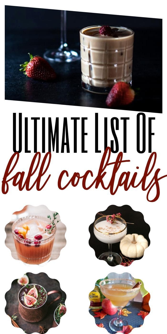 Fall Cocktail Recipes | Simple Fall Cocktail Recipes | Warm Fall Cocktail Recipes | Easy Fall Cocktail Recipes | Fall Cocktail Ideas | Best Autumn Cocktails | #fallcocktails #cocktails #autumcocktails #recipes