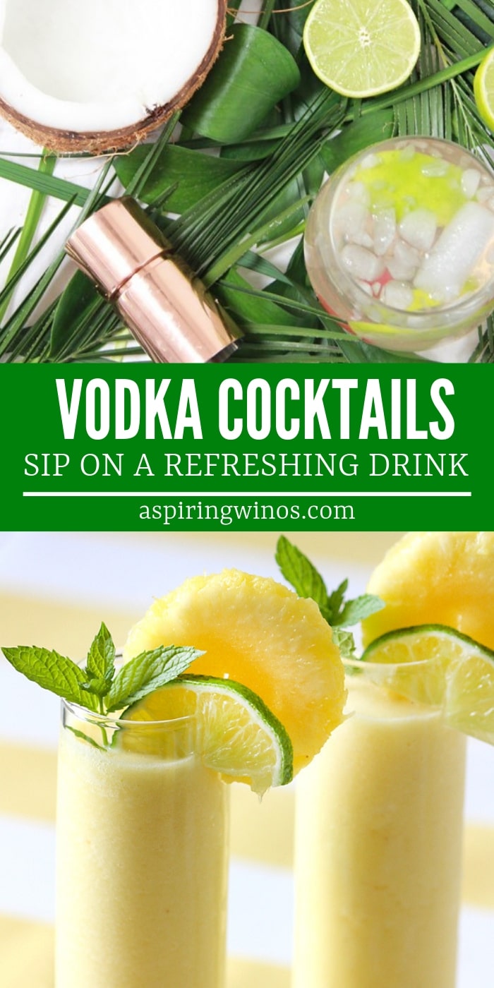 Vodka Cocktails | Vodka Recipes | Winter Vodka Cocktails | Summer Vodka Cocktails | Vodka Cocktails for a Crowd | Easy Vodka Cocktails | Simple Cocktails | #cocktails #recipes #vodkadrinks #vodkacocktail