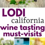 Wine tasting in lodi | Lodi Wine Travel | Wine Tours in Lodi | Sightseeing Lodi | Lodi Valley Wine Tasting | Best Wineries in Lodi, California | #lodi #wine #winetasting #winery #vineyard #winemaking