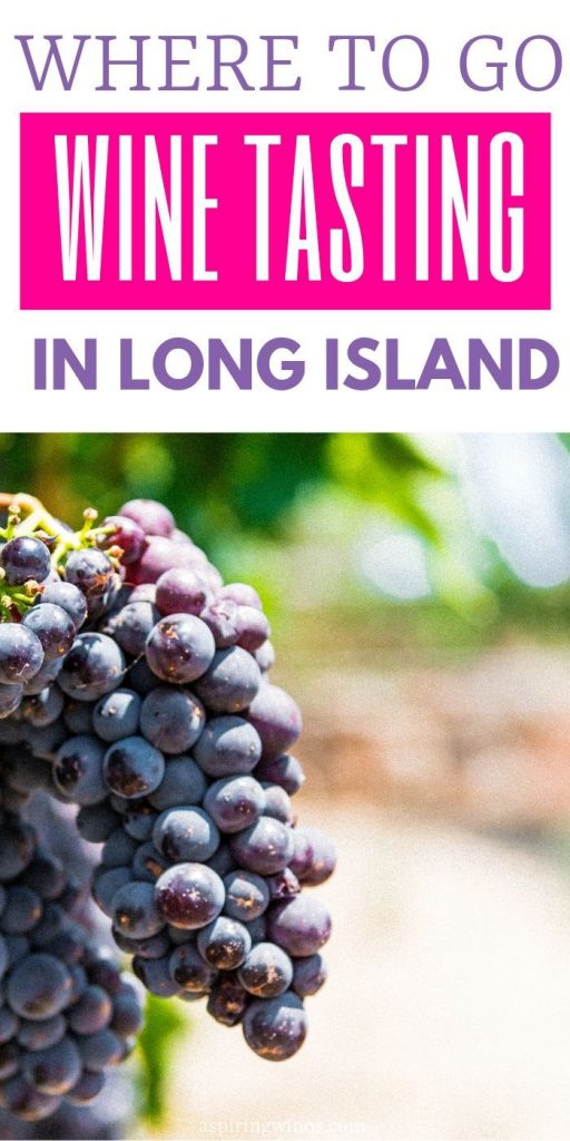 Where to go Wine Tasting in Long Island - Aspiring Winos