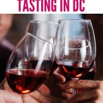 Where to go Wine Tasting in Washington DC | Wine Tasting in DC | Best Wineries in DC | Wine Travel in DC | Best Places to Go Wine Tasting in Washington DC | #winetasting #winetravel #wine