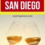 7 Fun Wine Bars to Try in San Diego | Wine Bars In San Diego | Wine Bars To Try While Traveling | Amazing Wines | San Diego Wine Bars You Need To Try #WineBars #SanDiego #WineTravel #TravelBlog #SanDiegoWines