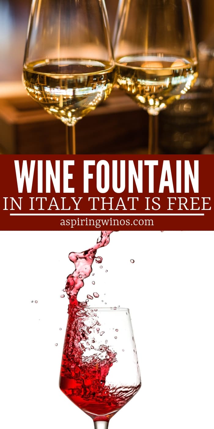 Add this to your #bucketlist! There is a FREE #wine fountain in Ortona, Italy. When you're planning a vacation to #Italy, or dreaming of walking the Cammino di San Tommaso, this is one of the most interesting stops you can make along the path. For wine travel or regular travel, you won't want to miss out on adding this one to your itinerary. #Italian #winery #fountain