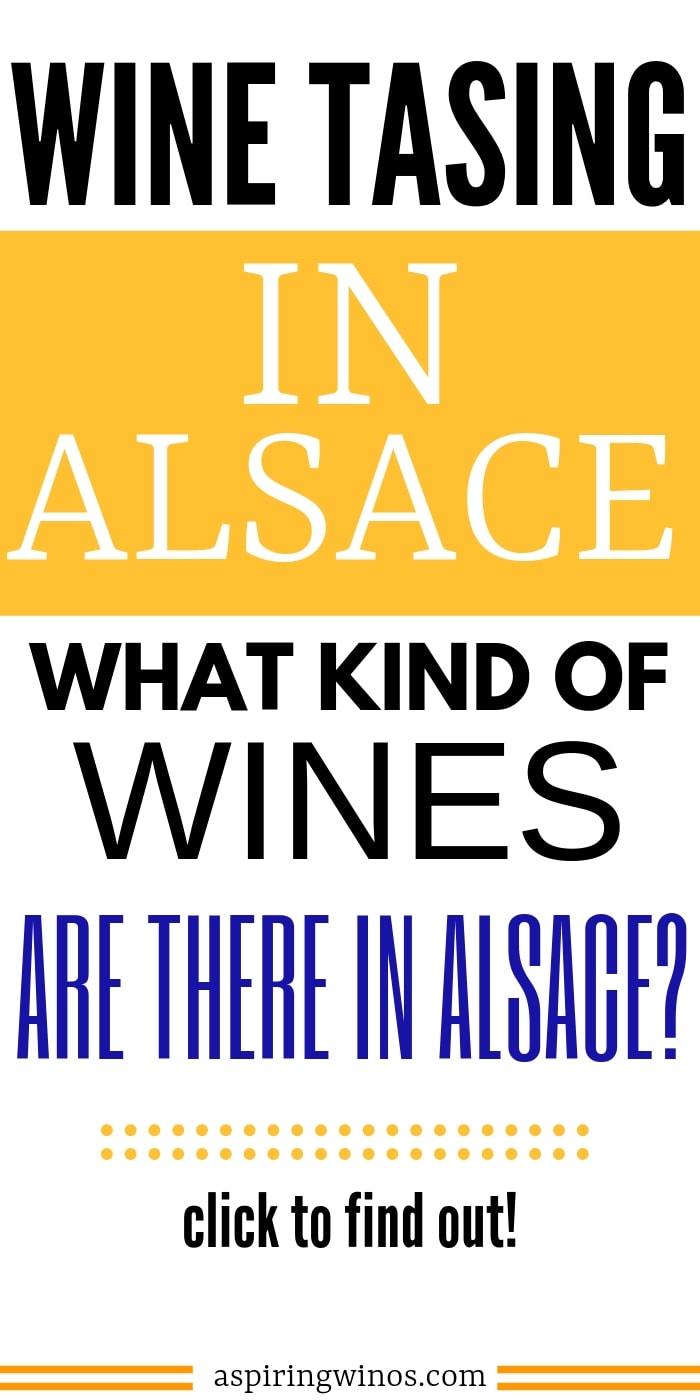 Wine Tasting in Alsace